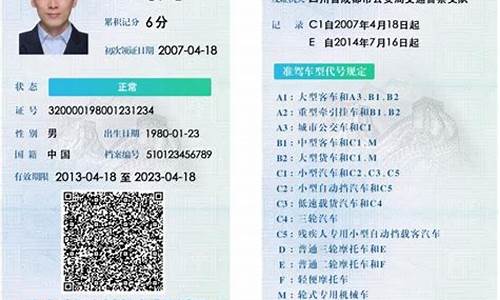 驾驶证查询电子版_驾驶证查询电子版怎么查
