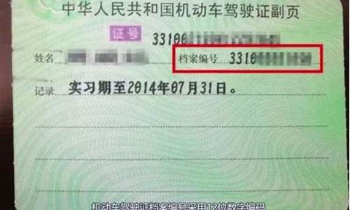 驾驶证编号查询_机动车驾驶证编号查询